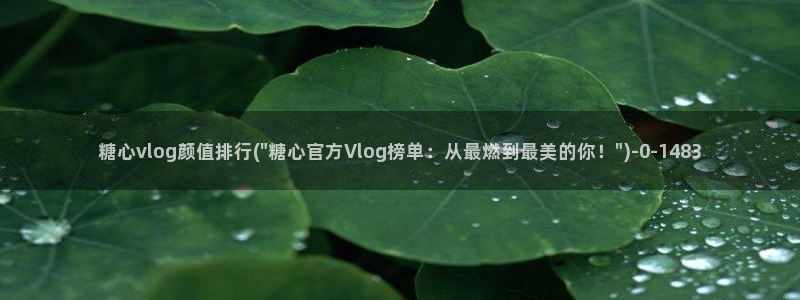 糖心vlog苹果轻量版：糖心vlog颜值排行(\