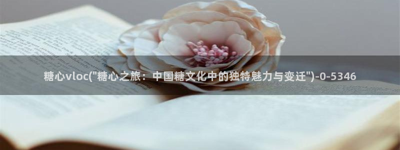 中国区糖心vlog