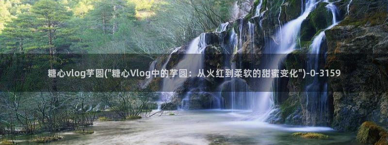 糖心vlog官网免费看