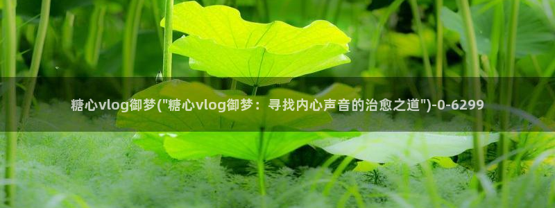 糖心vlog女主汇总