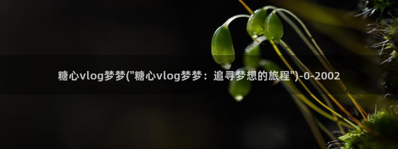 糖心vlog最新网站